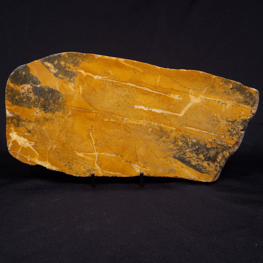 PILBARIA PERPLEXA STROMATOLITE, Australia ZPP015