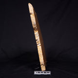 PILBARIA PERPLEXA STROMATOLITE, Australia ZPP016