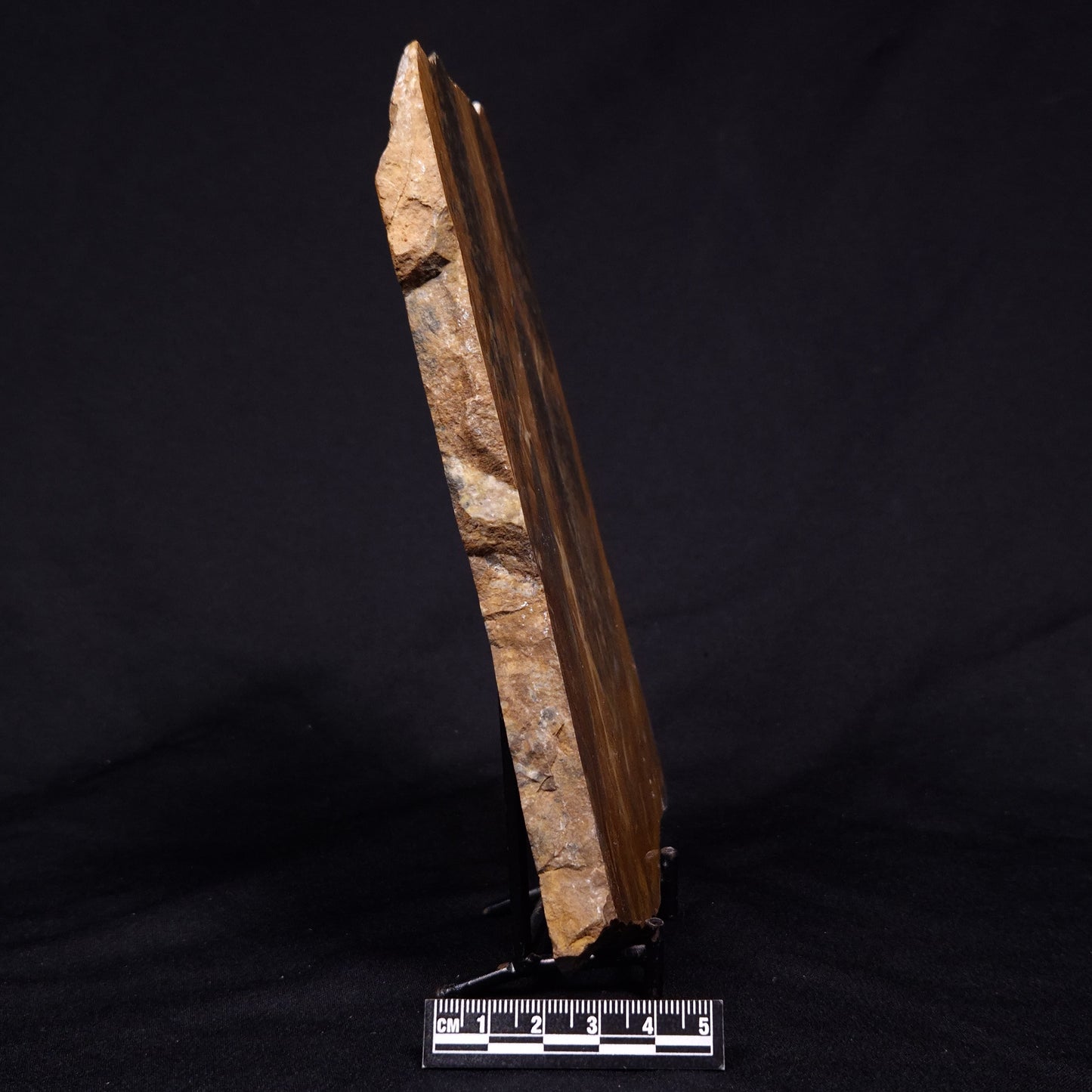 PILBARIA PERPLEXA STROMATOLITE, Australia ZPP020