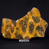 PILBARIA PERPLEXA STROMATOLITE, Australia ZPP021
