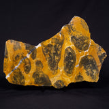 PILBARIA PERPLEXA STROMATOLITE, Australia ZPP021
