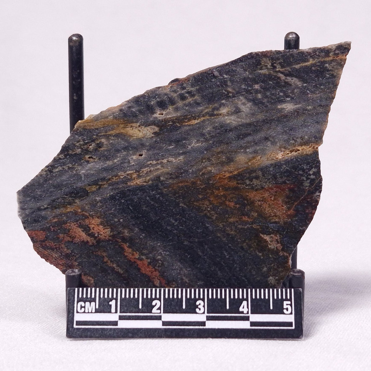 STROMATOLITE, Archean, Australia ZSL026