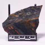 STROMATOLITE, Archean, Australia ZSL026