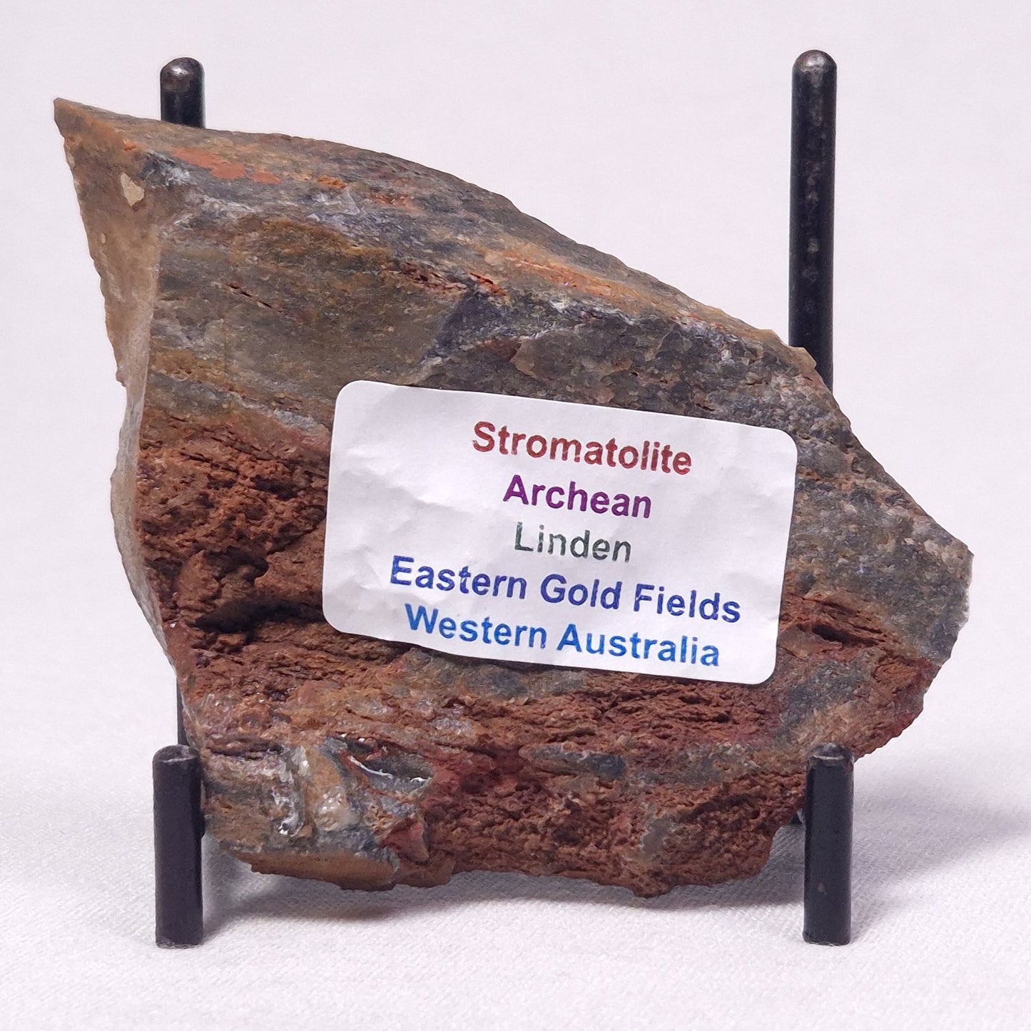 STROMATOLITE, Archean, Australia ZSL026