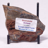 STROMATOLITE, Archean, Australia ZSL026