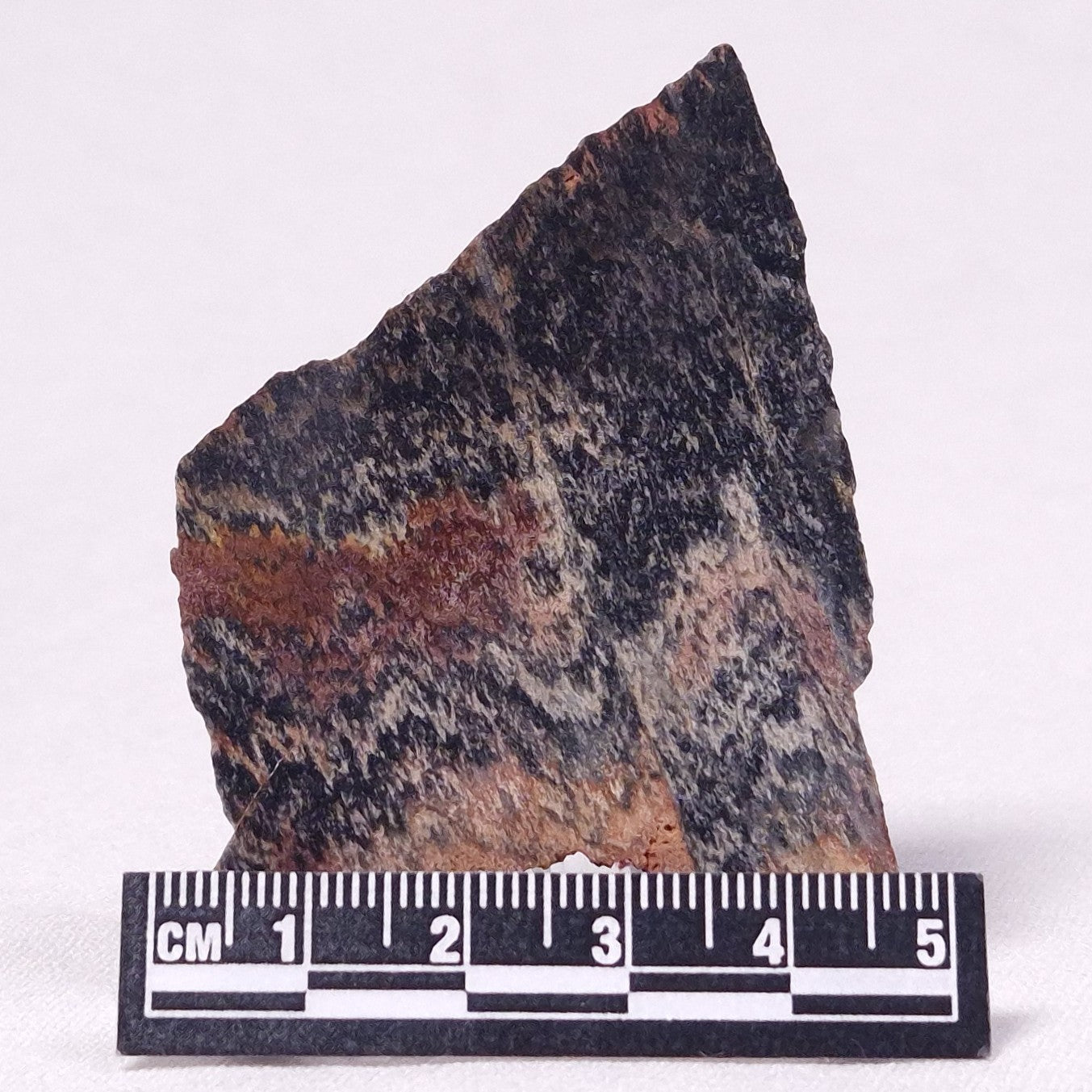 STROMATOLITE, Archean, Australia ZSL027
