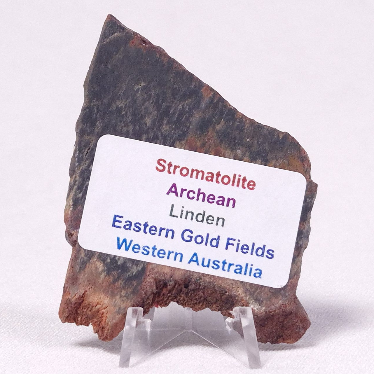 STROMATOLITE, Archean, Australia ZSL027