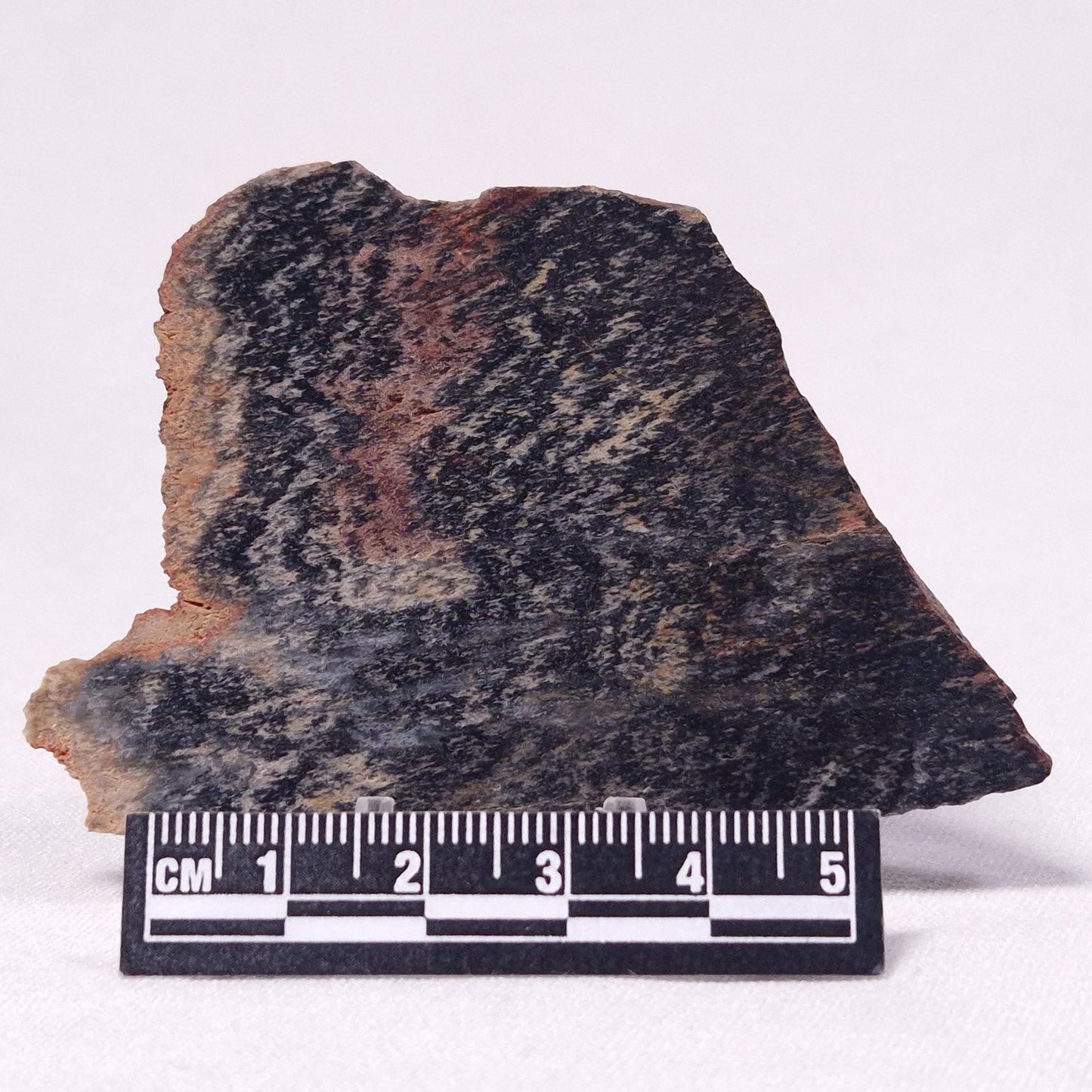 STROMATOLITE, Archean, Australia ZSL028