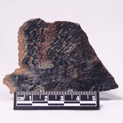 STROMATOLITE, Archean, Australia ZSL028