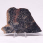 STROMATOLITE, Archean, Australia ZSL028