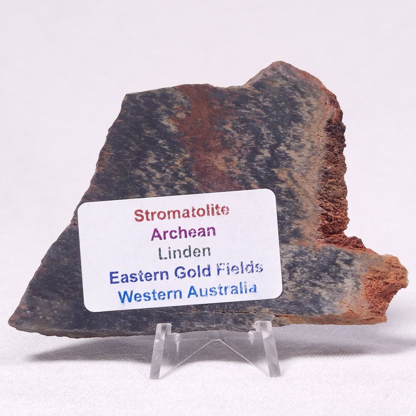 STROMATOLITE, Archean, Australia ZSL028