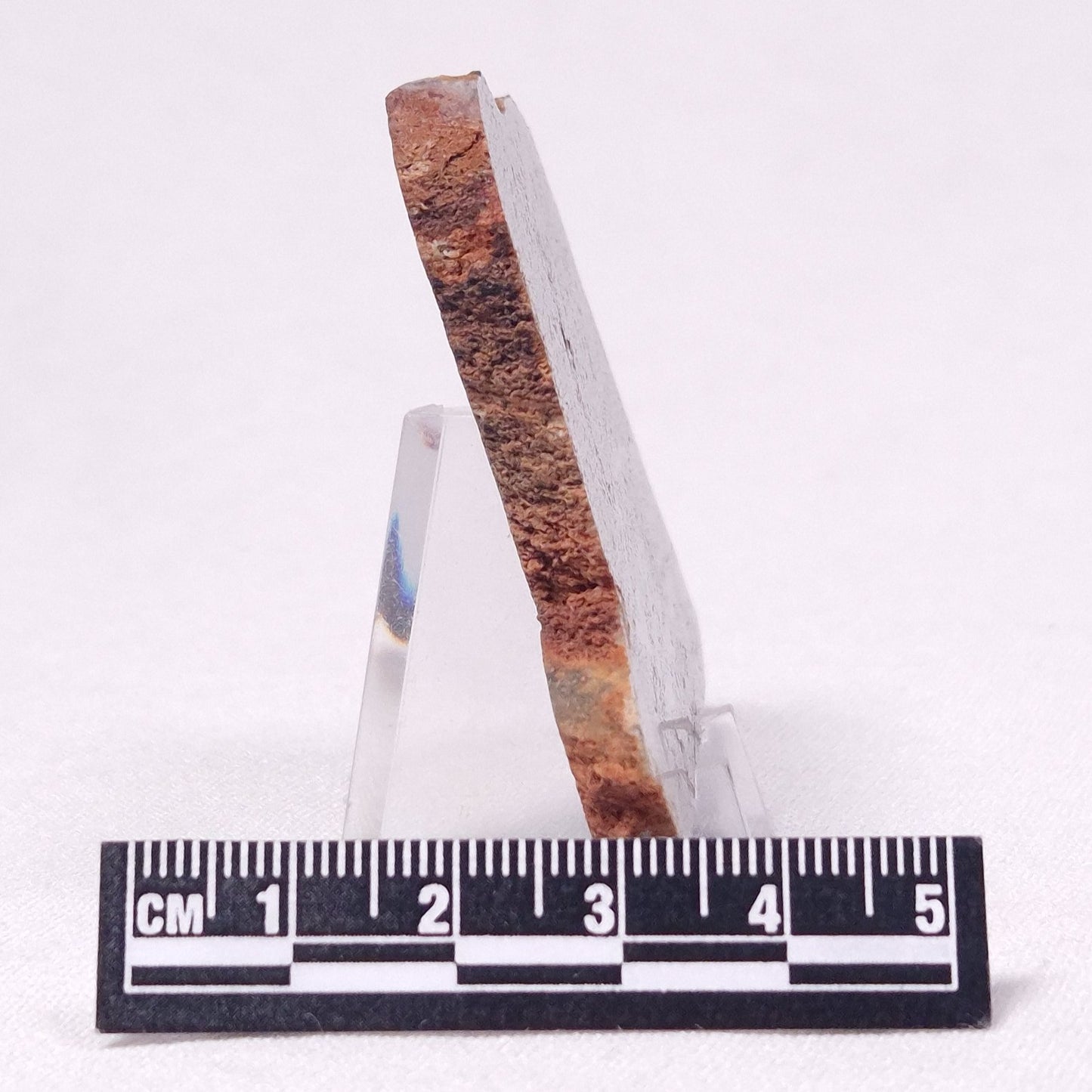 STROMATOLITE, Archean, Australia ZSL028