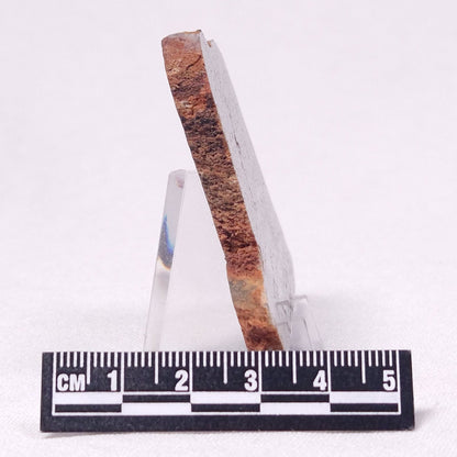 STROMATOLITE, Archean, Australia ZSL028