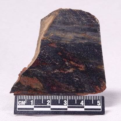 STROMATOLITE, Archean, Australia ZSL029