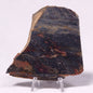 STROMATOLITE, Archean, Australia ZSL029