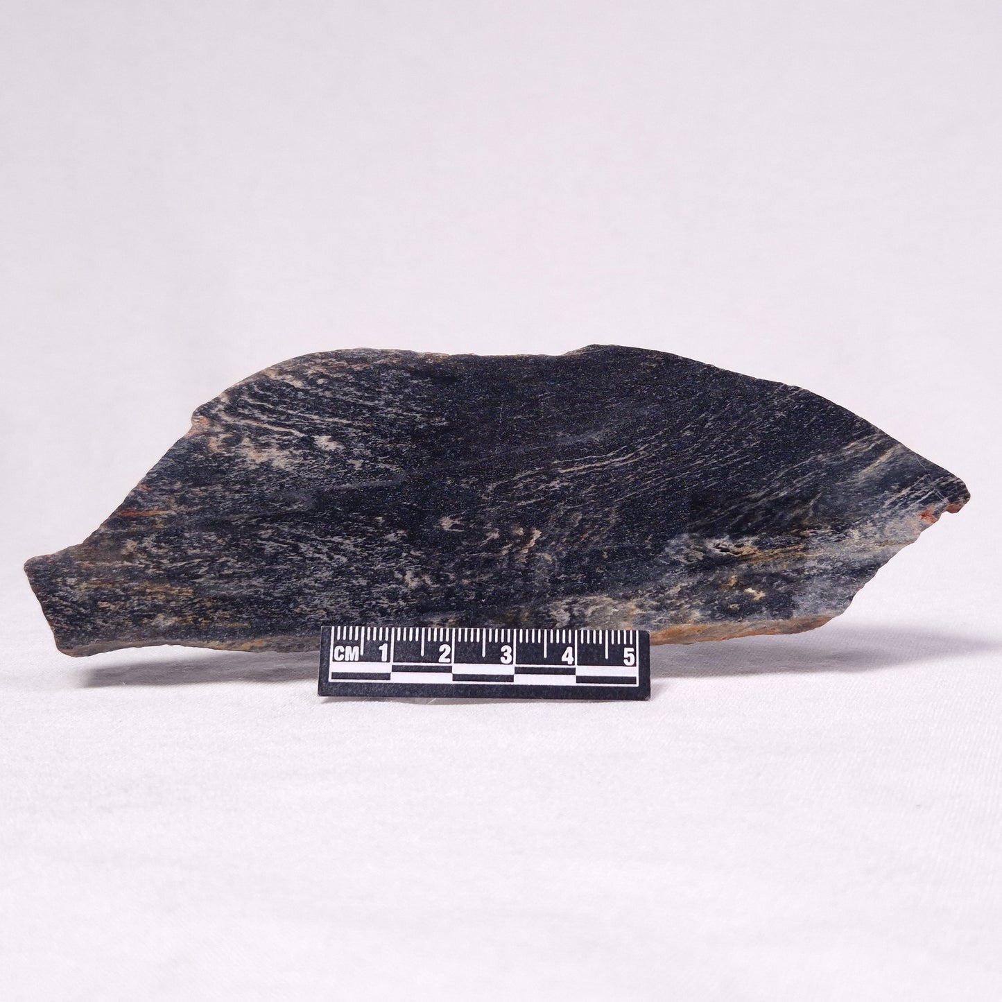 STROMATOLITE, Archean, Australia ZSL030