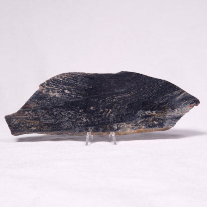 STROMATOLITE, Archean, Australia ZSL030