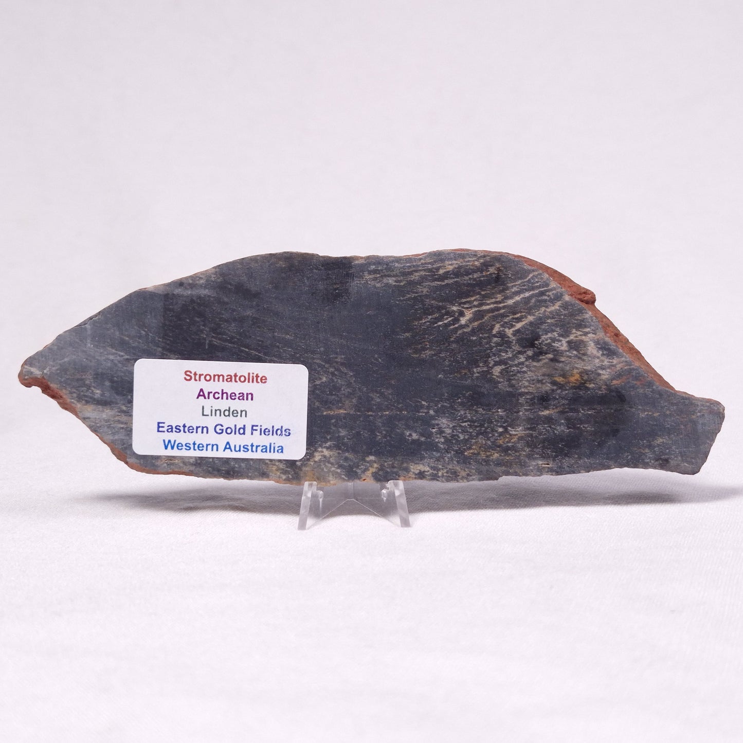 STROMATOLITE, Archean, Australia ZSL030