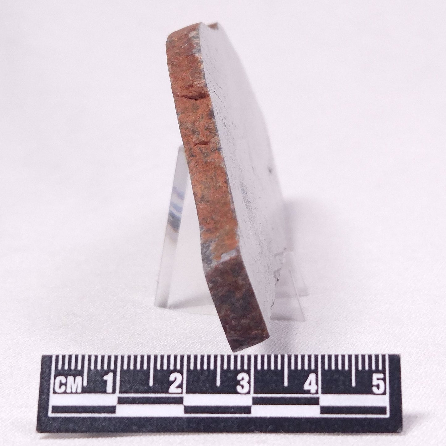 STROMATOLITE, Archean, Australia ZSL030
