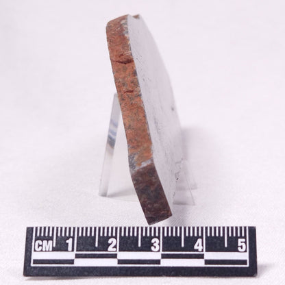 STROMATOLITE, Archean, Australia ZSL030