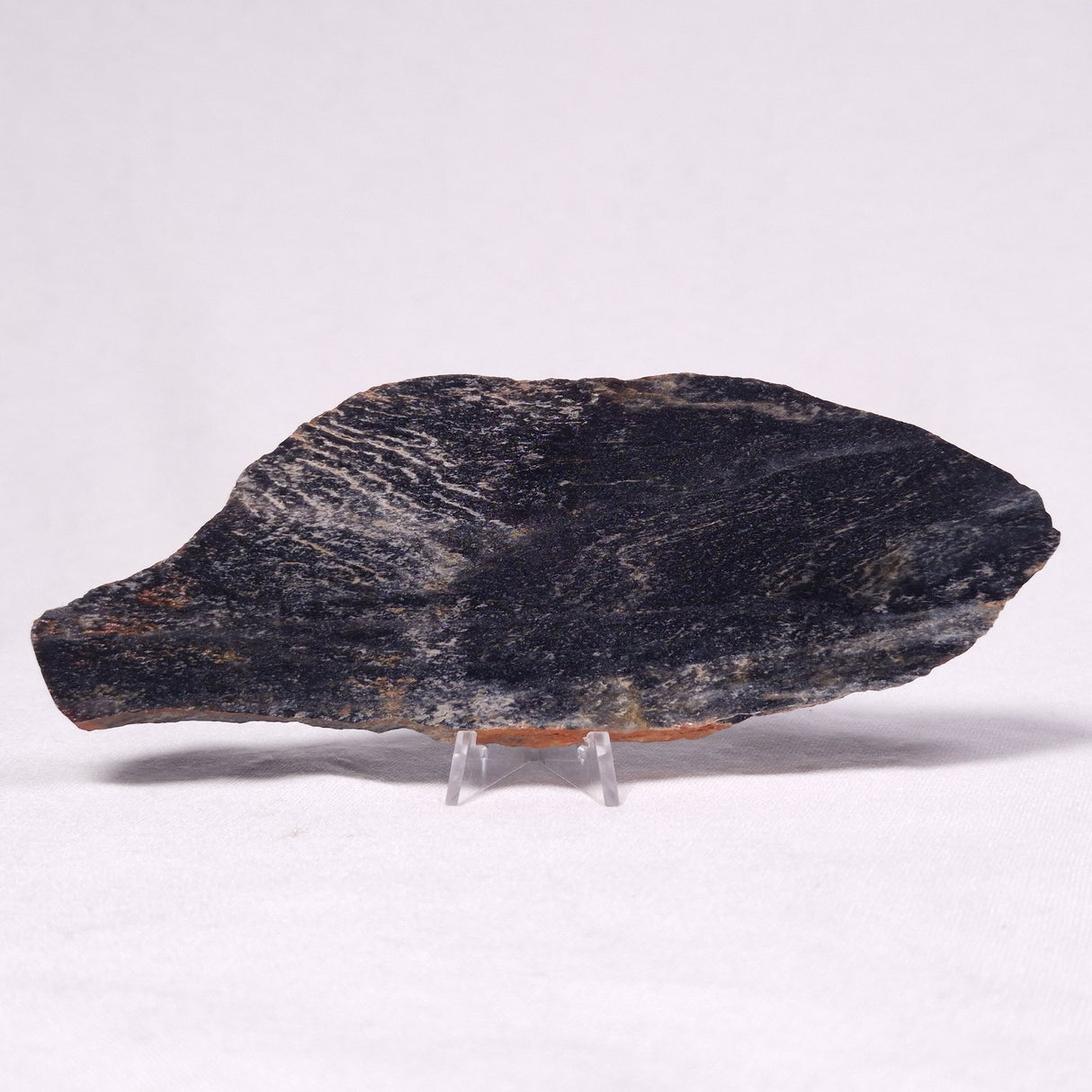 STROMATOLITE, Archean, Australia ZSL031