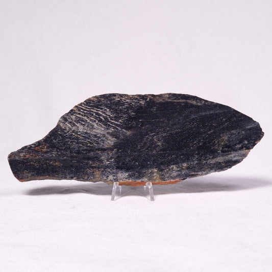STROMATOLITE, Archean, Australia ZSL031