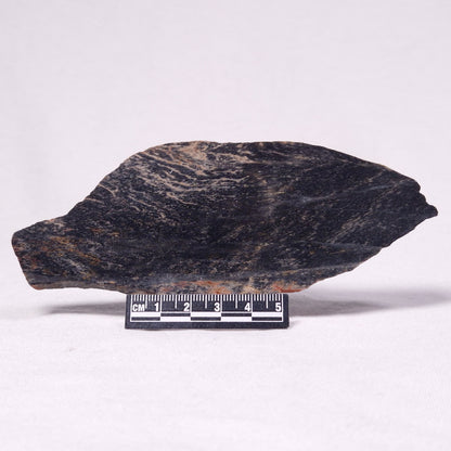 STROMATOLITE, Archean, Australia ZSL032