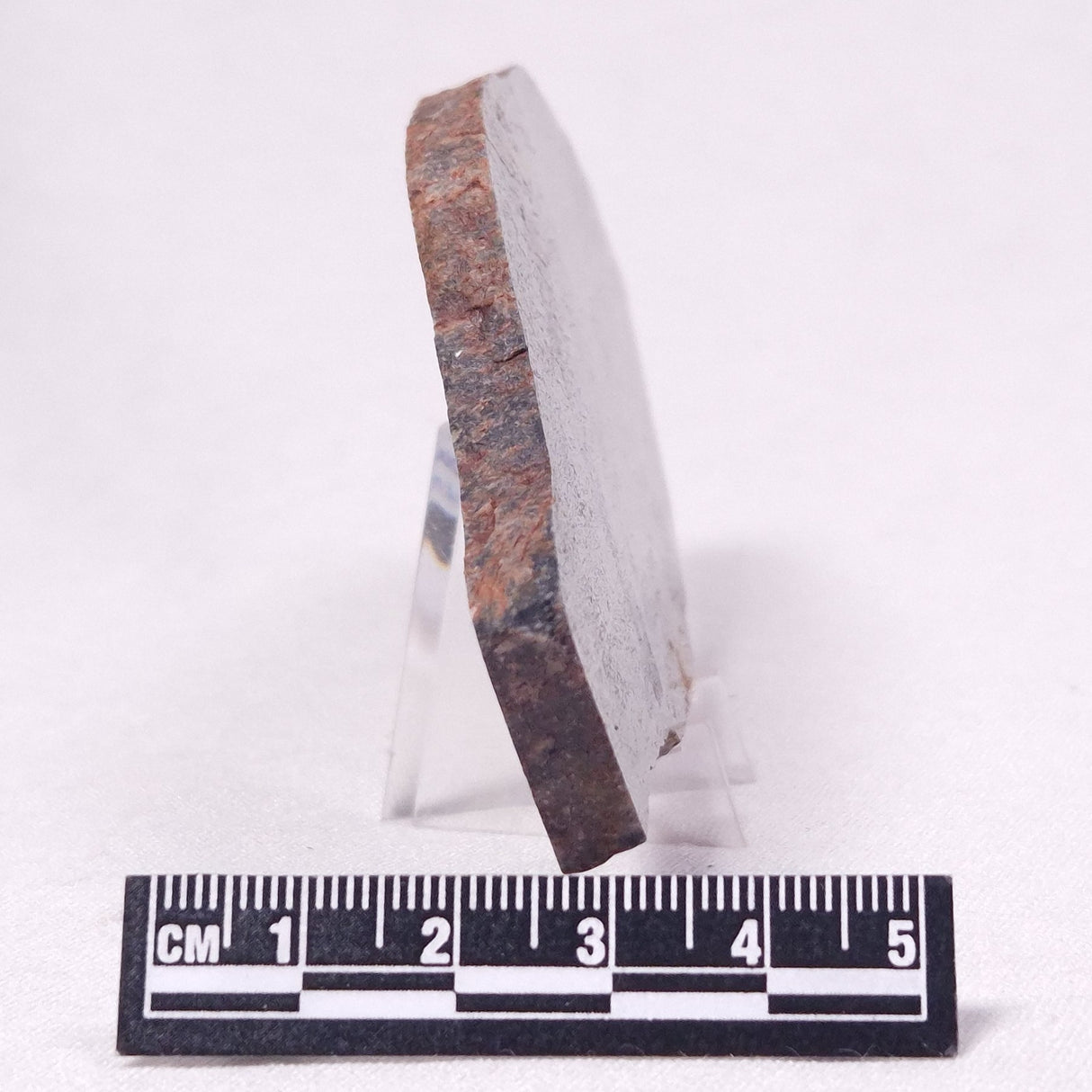 STROMATOLITE, Archean, Australia ZSL032