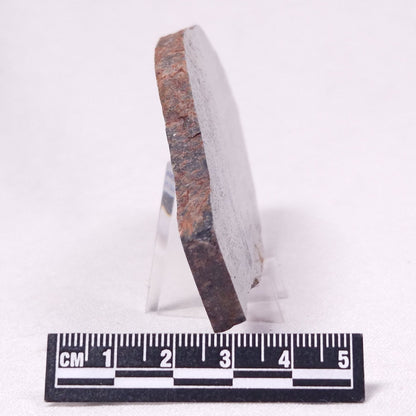 STROMATOLITE, Archean, Australia ZSL032
