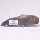 STROMATOLITE, Archean, Australia ZSL033