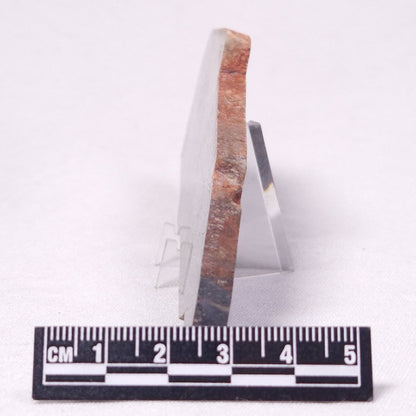 STROMATOLITE, Archean, Australia ZSL033