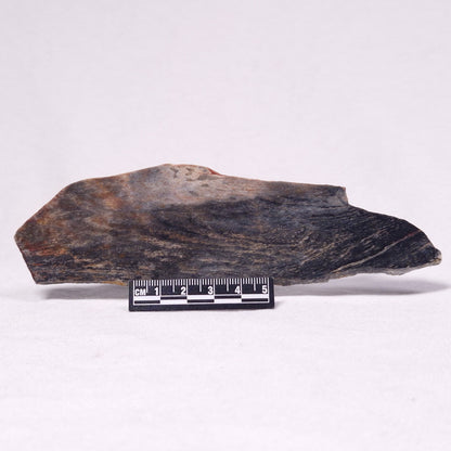 STROMATOLITE, Archean, Australia ZSL034