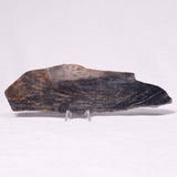 STROMATOLITE, Archean, Australia ZSL034