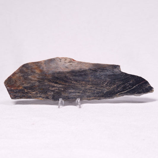 STROMATOLITE, Archean, Australia ZSL034