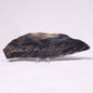 STROMATOLITE, Archean, Australia ZSL035