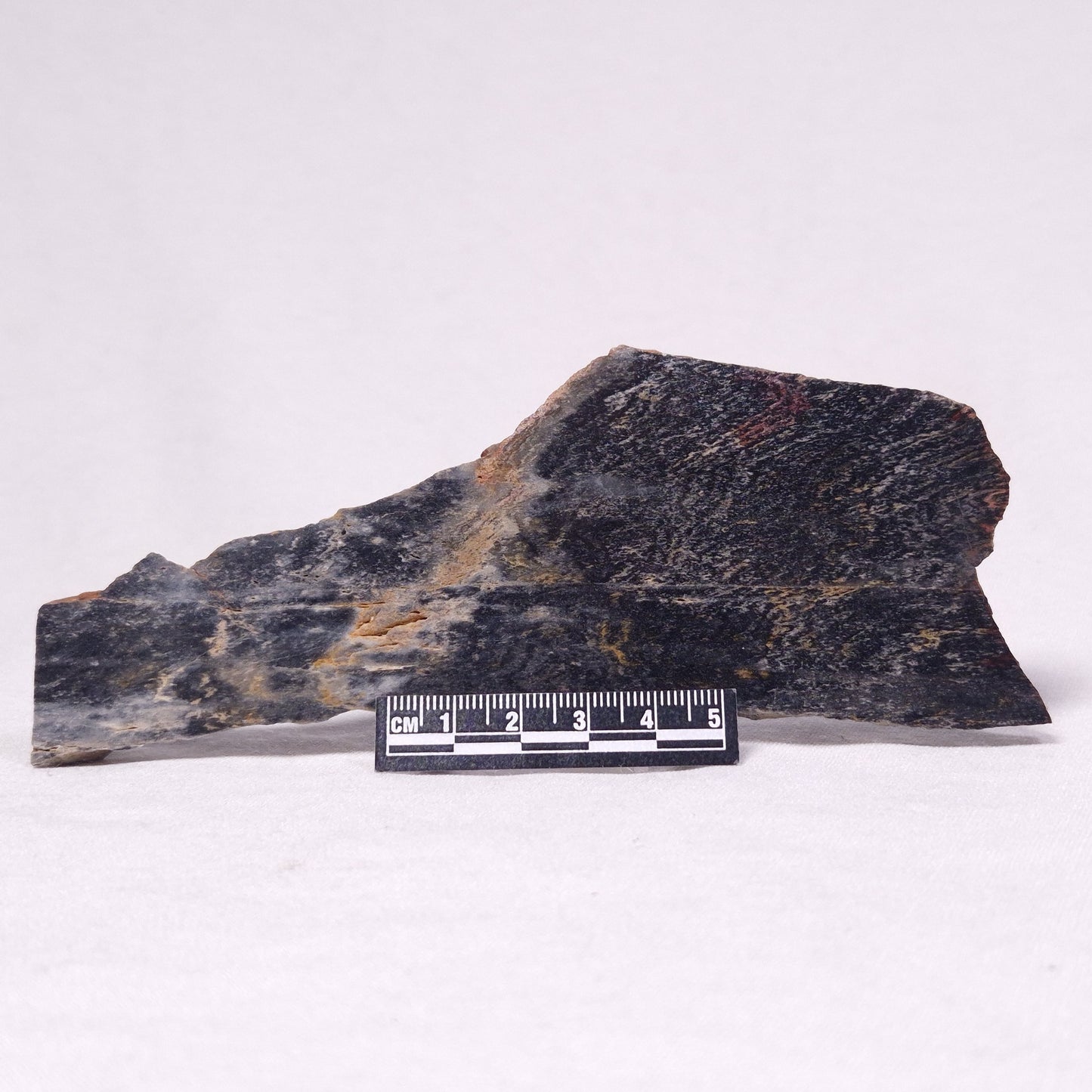 STROMATOLITE, Archean, Australia ZSL036