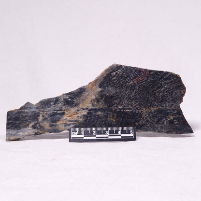 STROMATOLITE, Archean, Australia ZSL036