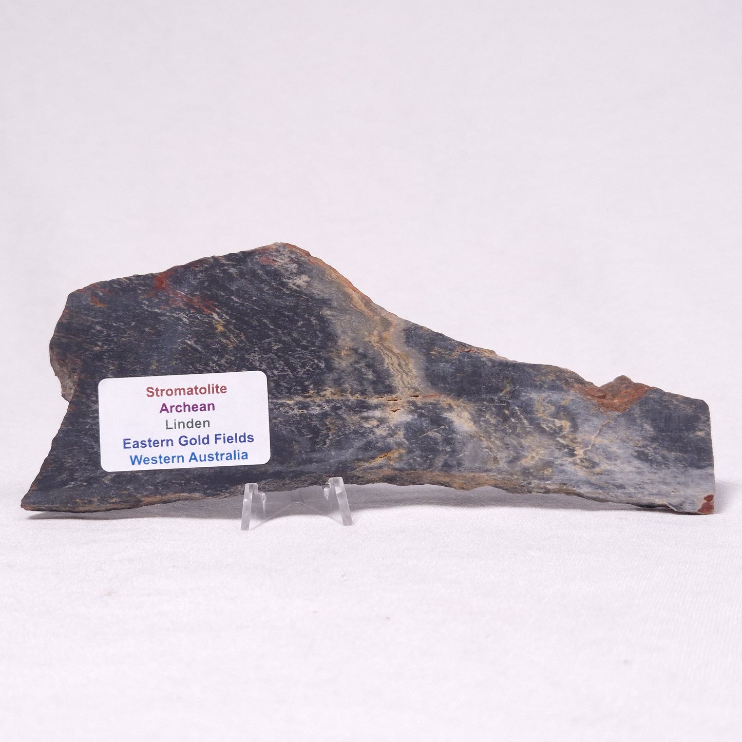 STROMATOLITE, Archean, Australia ZSL036