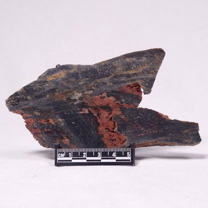 STROMATOLITE, Archean, Australia ZSL037