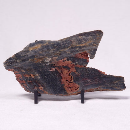 STROMATOLITE, Archean, Australia ZSL037