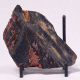 STROMATOLITE, Archean, Australia ZSL038
