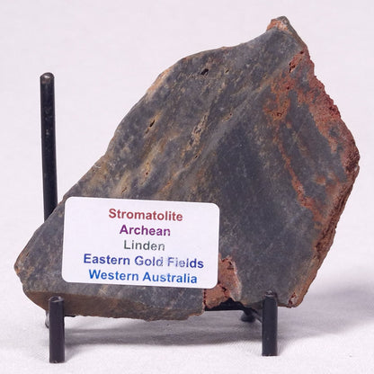 STROMATOLITE, Archean, Australia ZSL038
