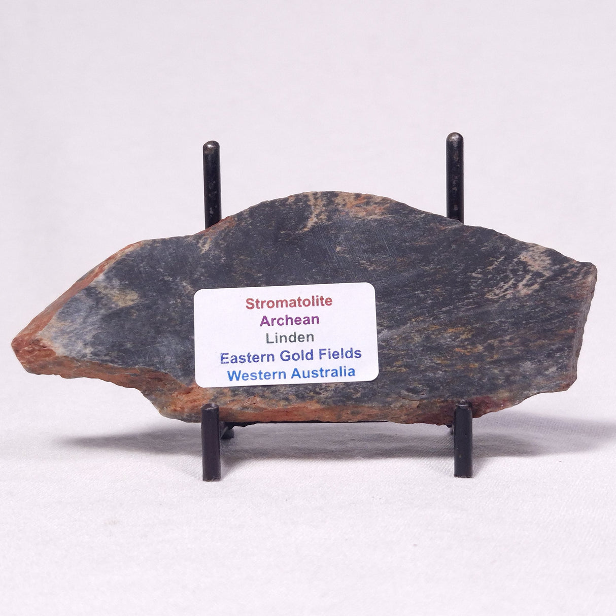 STROMATOLITE, Archean, Australia ZSL040