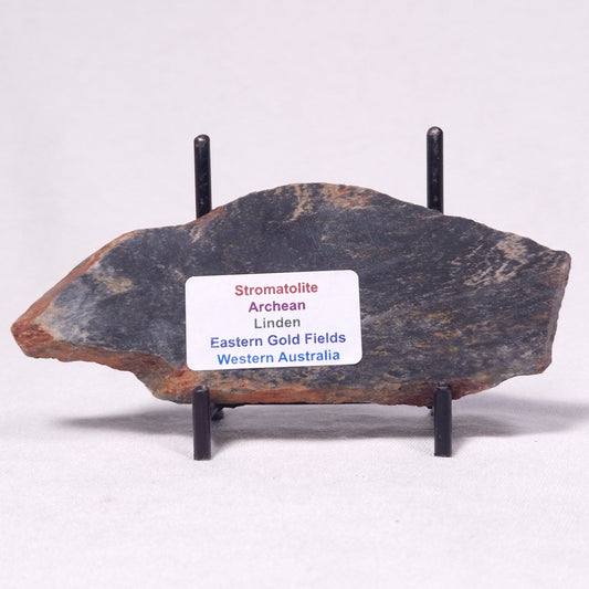 STROMATOLITE, Archean, Australia ZSL040