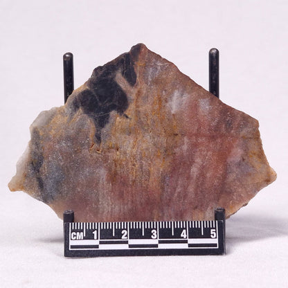 STROMATOLITE, Archean, Australia ZSL041