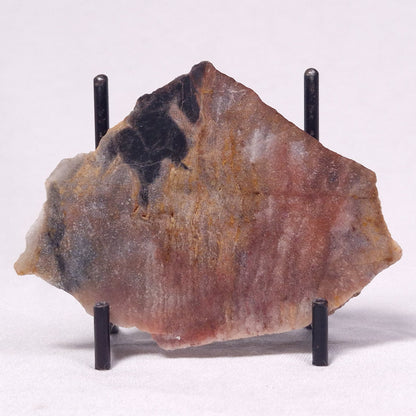 STROMATOLITE, Archean, Australia ZSL041