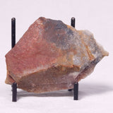 STROMATOLITE, Archean, Australia ZSL041