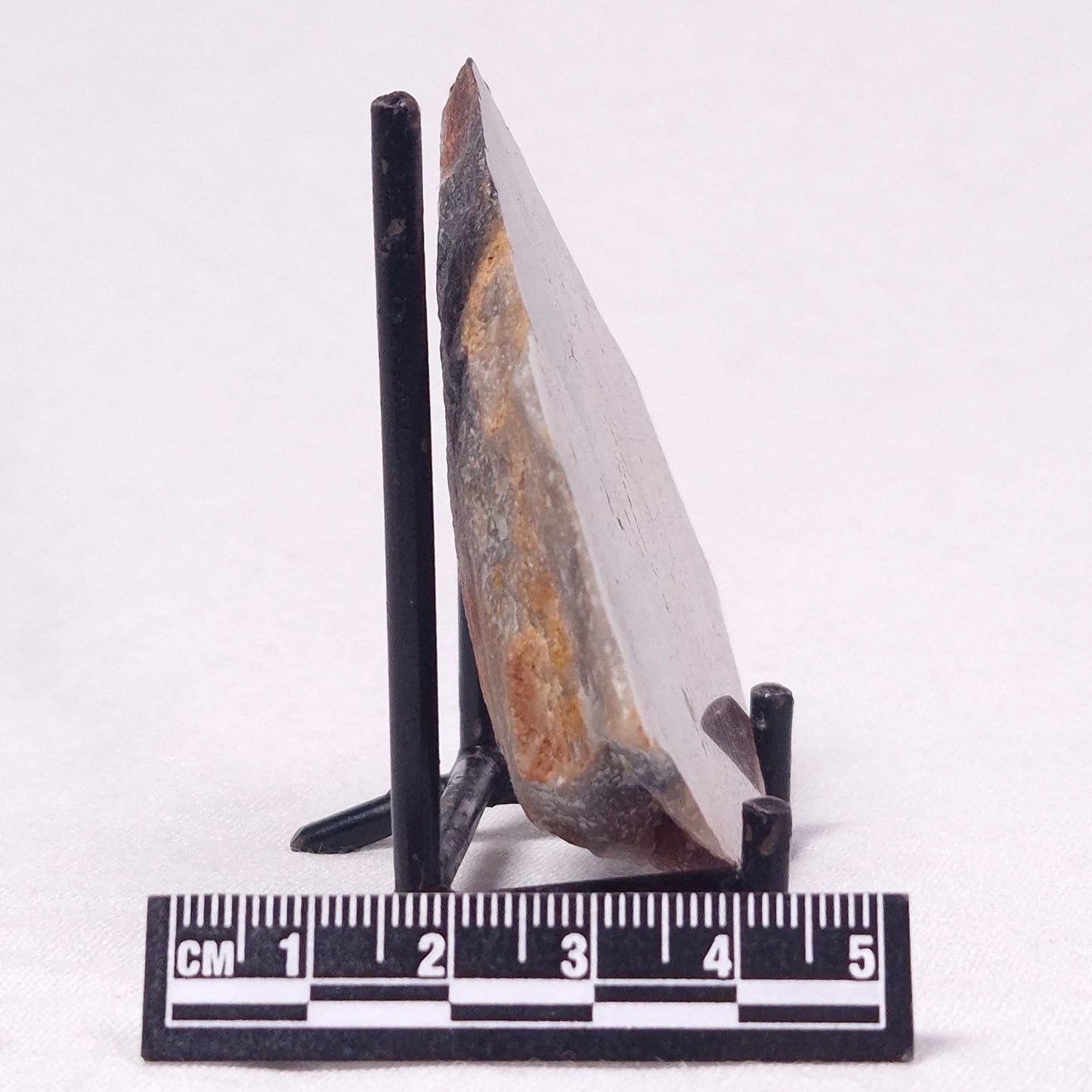 STROMATOLITE, Archean, Australia ZSL041