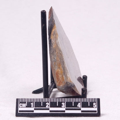 STROMATOLITE, Archean, Australia ZSL041