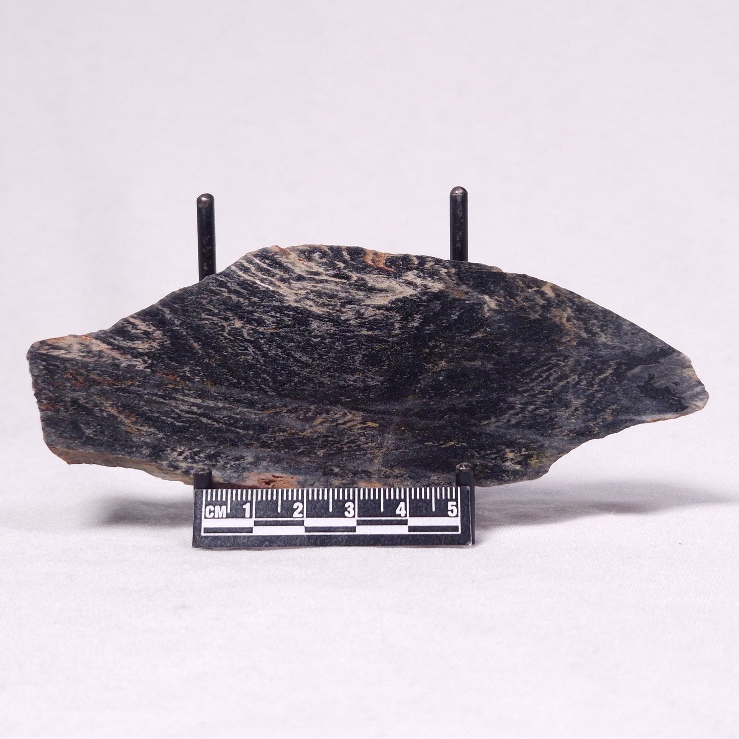 STROMATOLITE, Archean, Australia ZSL042